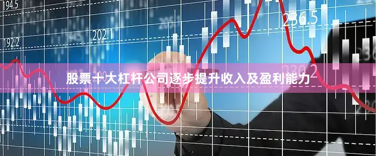 股票十大杠杆公司逐步提升收入及盈利能力